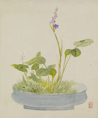Leaf from Album Depicting Birds, Flowers, Landscapes, and Flower Pots