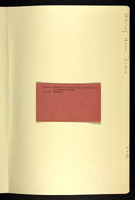 p. 8