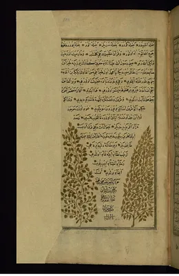 Colophon