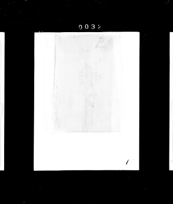 p. 43