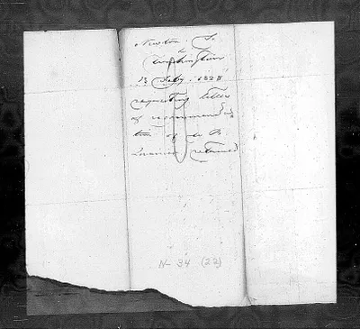 p. 7