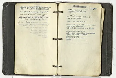 p. 29