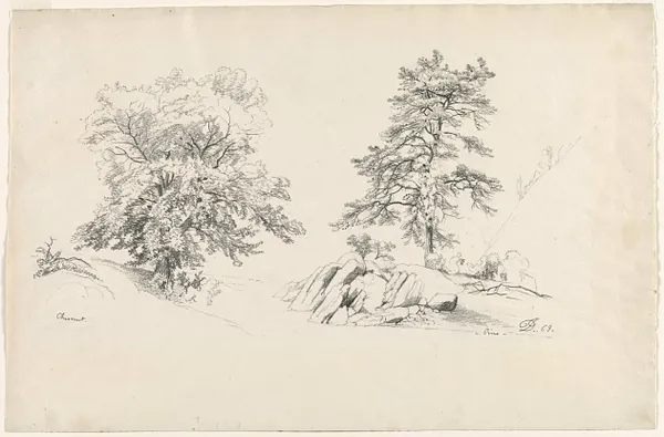 Chestnut and Pine