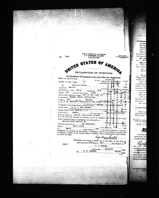 p. 31