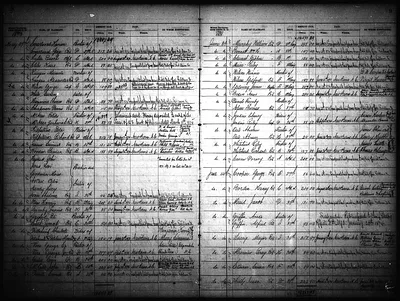 p. 7