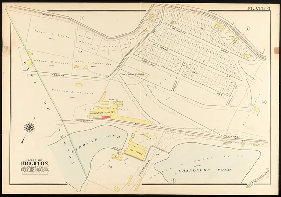 Atlas of the city of Boston, ward 25, Brighton