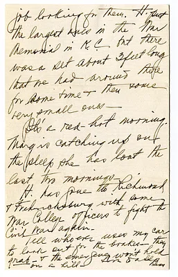p. 6