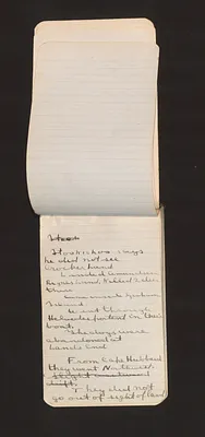 p. 5