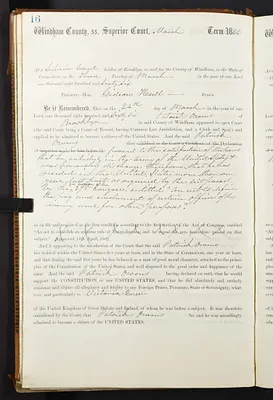 p. 41