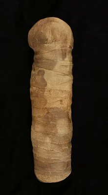 Mummified Cat