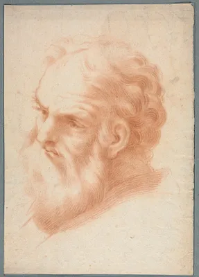Head of an Old Man