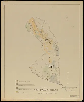 Plantations, open land, swamps and ponds, Tom Swamp North