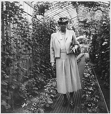Eleanor Roosevelt in Belgium