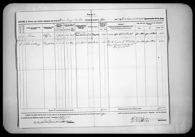 p. 31