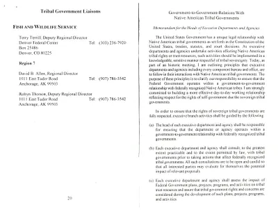 p. 20