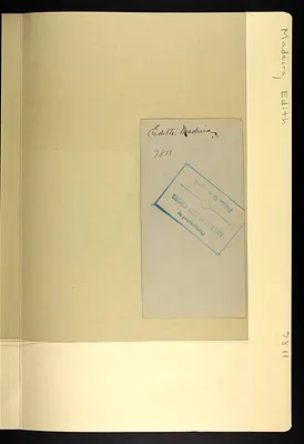 p. 7