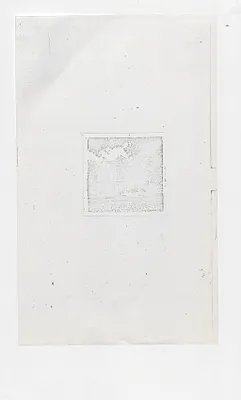 p. 46