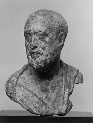Head and Bust of Bearded Man