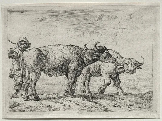 The Two Buffaloes