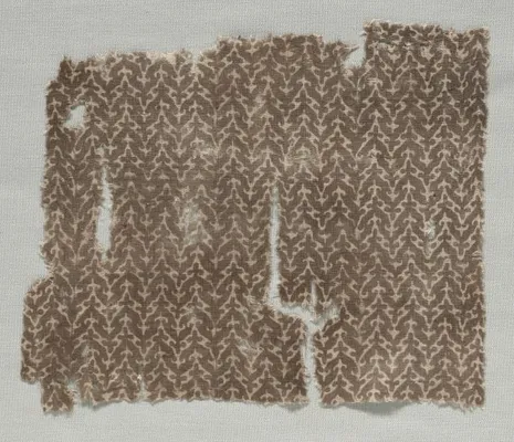 Fragment