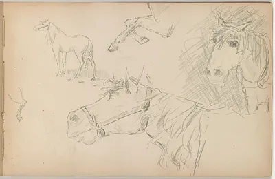 p. 22