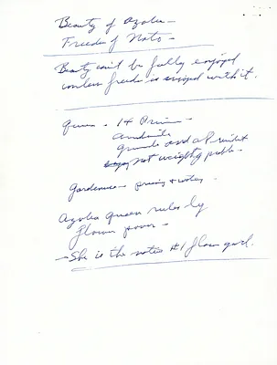 p. 6