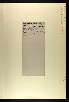 p. 6