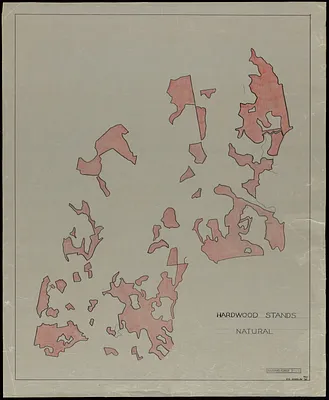 Harvard Stands Natural Forest Prospect Hill -overlays