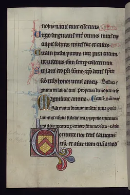 Arms of Baron of Stafford