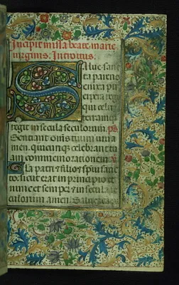 p. 5
