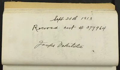 p. 29
