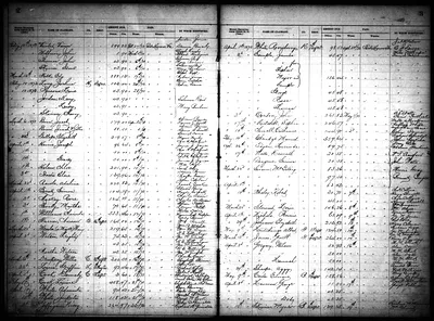 p. 29
