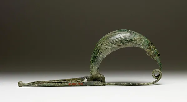 Fibula