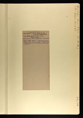p. 4