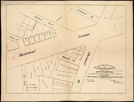Plan of estates on Suffolk St. District