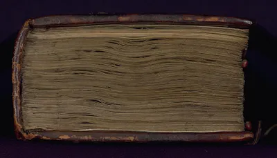 p. 8