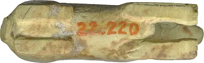 p. 6