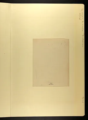 p. 43