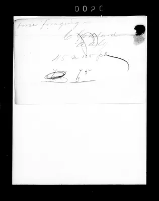 p. 31