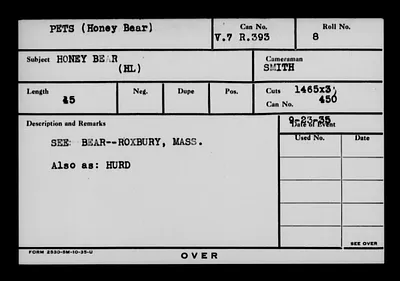 p. 41