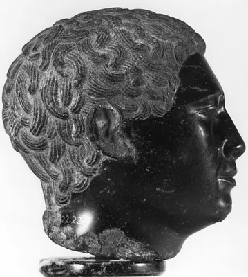 p. 5