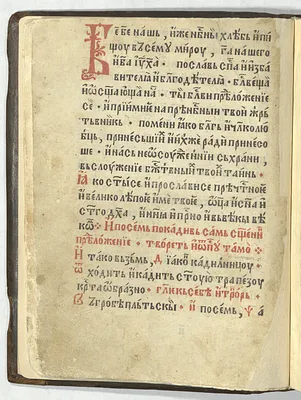 p. 14