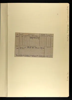 p. 17