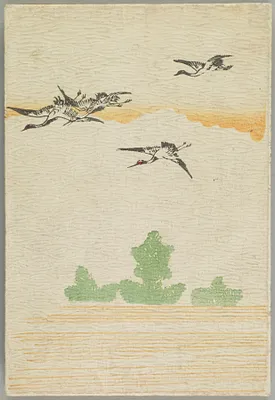 p. 18