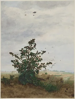 p. 1