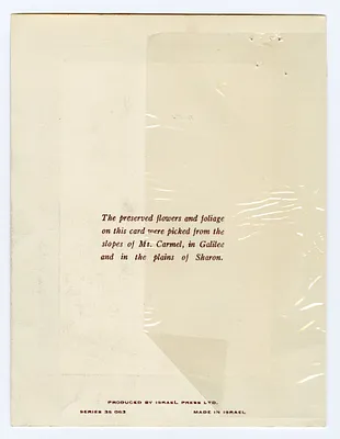 p. 34