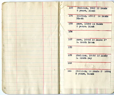 p. 17