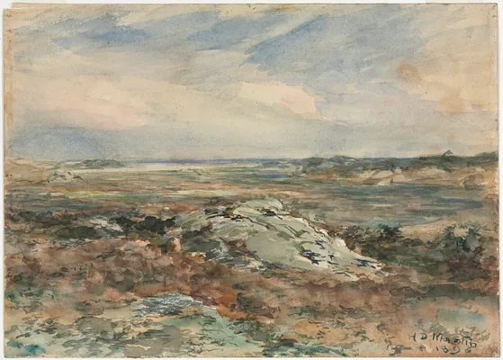 Landscape
