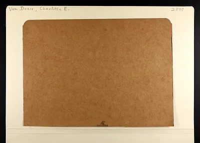 p. 3