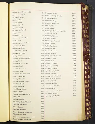 p. 33